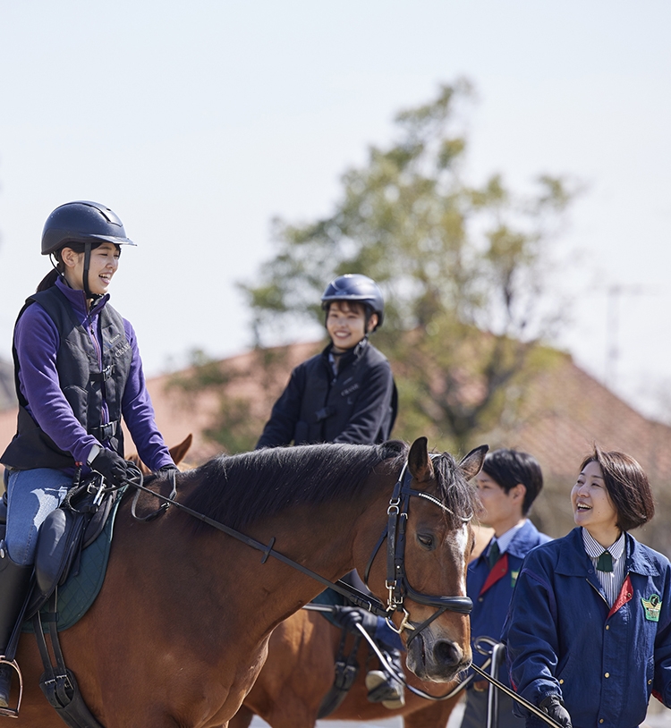乗馬体験１回コース：クラブ一覧：関東エリア：茨城県：乗馬クラブ