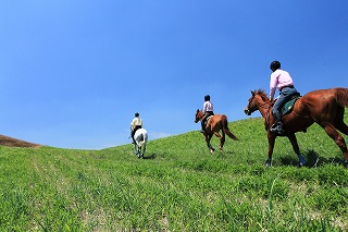 馬に乗って、草原や海岸沿いを走ってみよう！